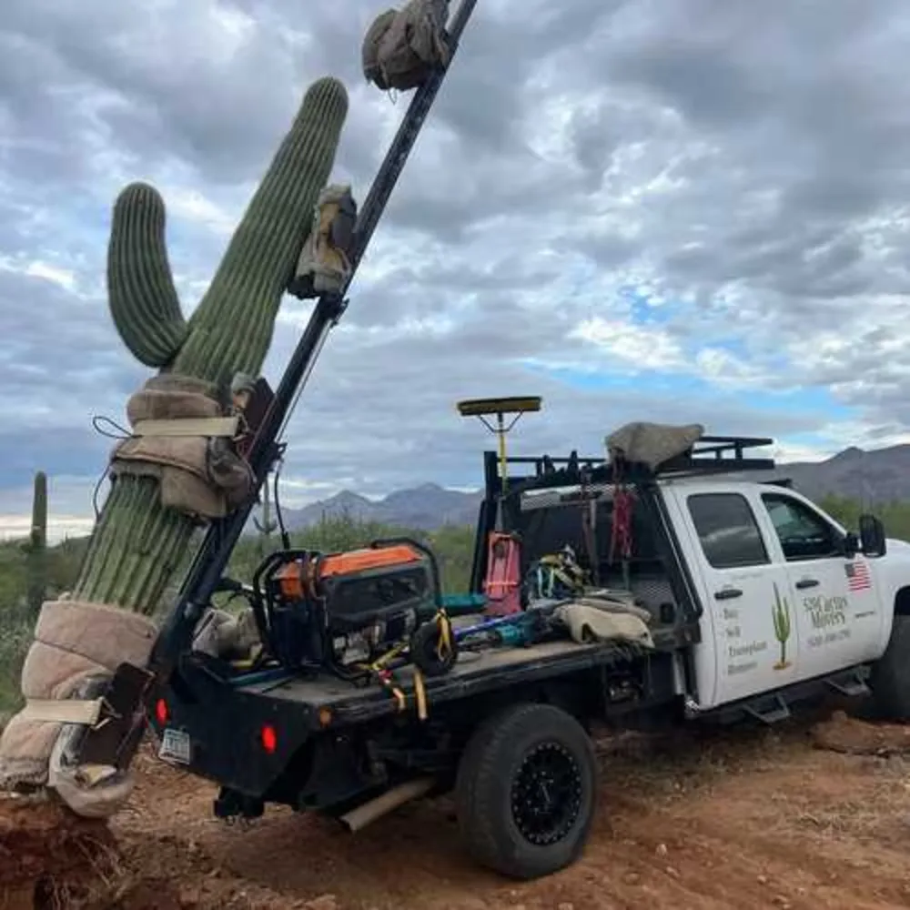 520 Cactus Movers licensed and insured flatbed truck