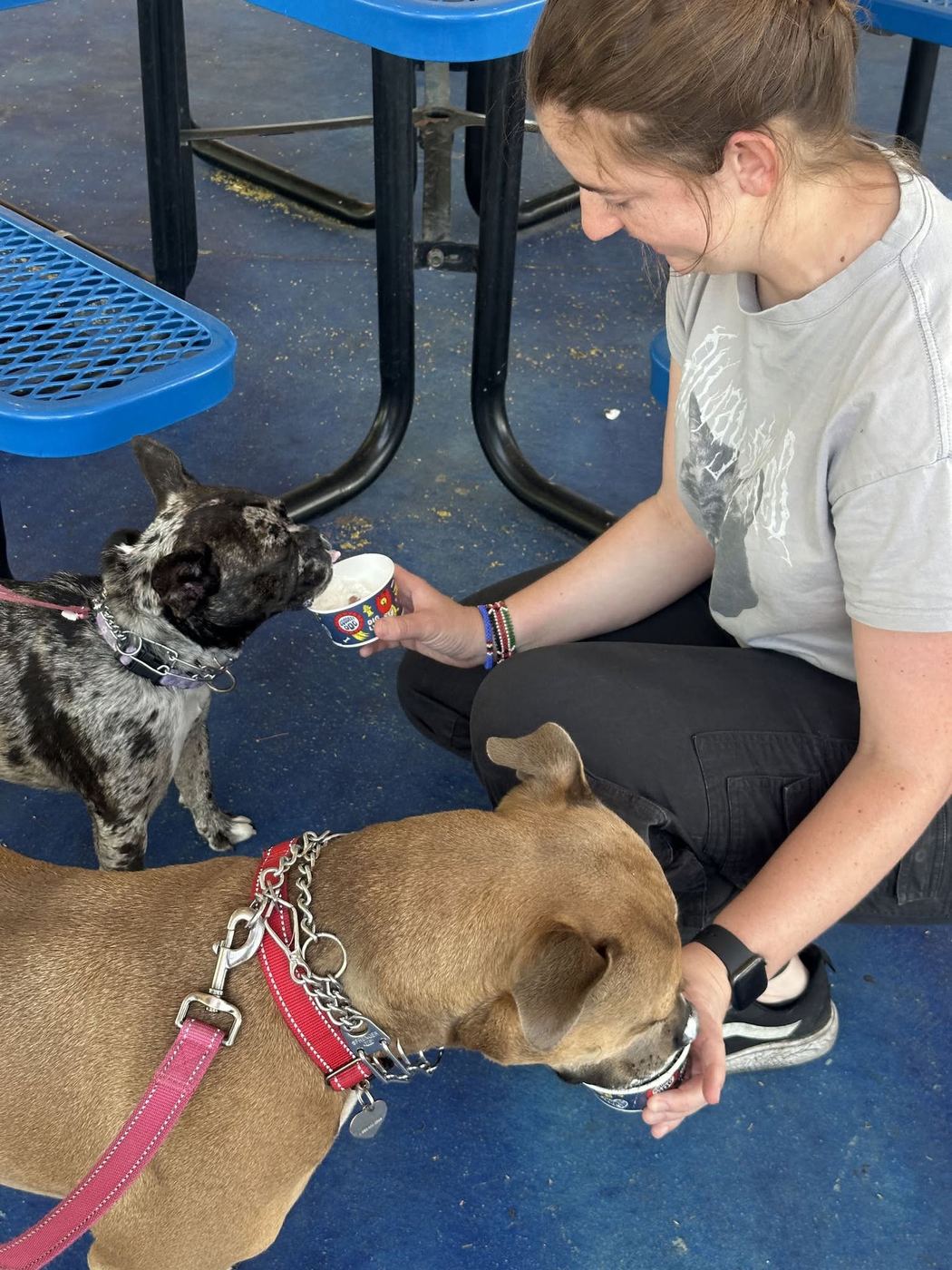 Andria of Andria's Pet Care sharing pup cups with two client dogs on an adventure outing in Phoenix, Arizona