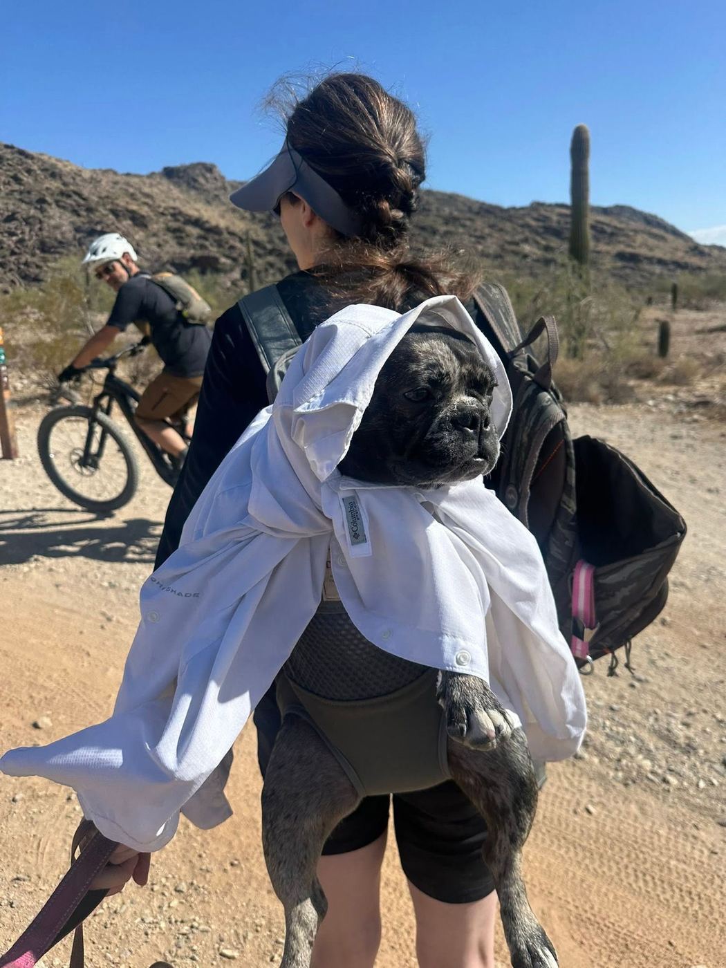 A dog carried in a backpack carrier on a Sonoran Desert adventure outing near Phoenix, Arizona